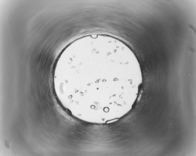 X0000101471518200808041053