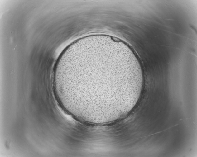 X0000101471519200808041053