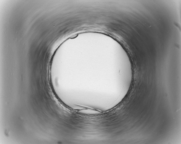 X0000101471520200808041053