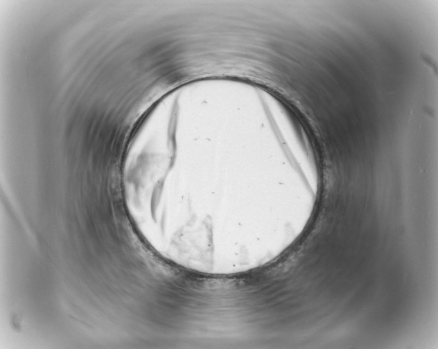 X0000101471521200808041053