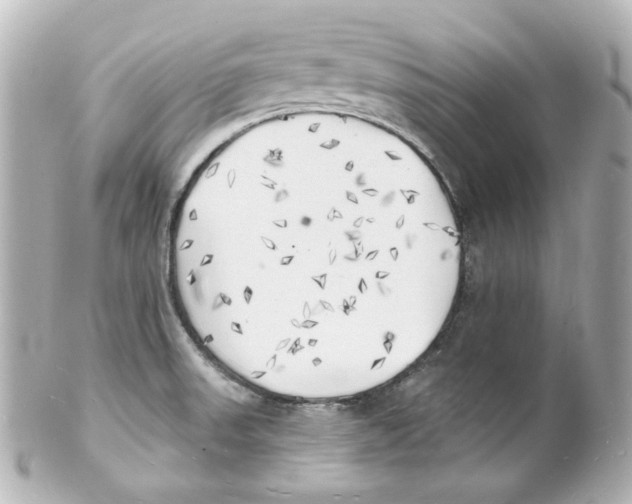 X0000101471523200808041053