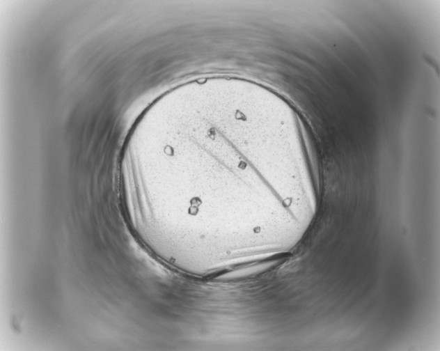 X0000101471527200808041053