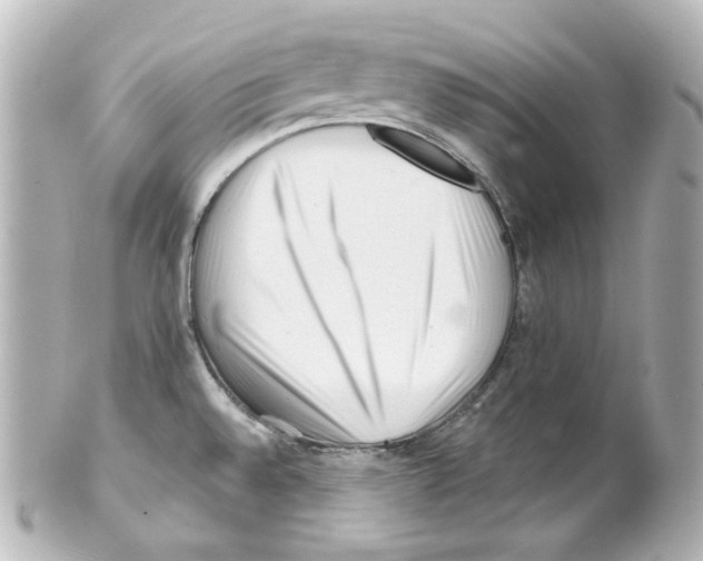 X0000101471528200808041053