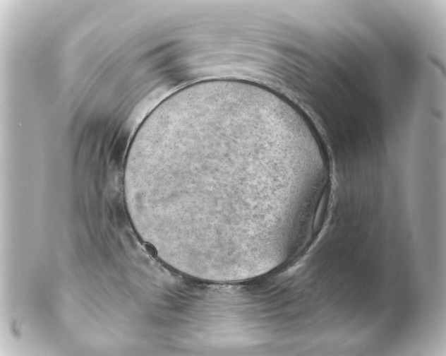 X0000101471529200808041053