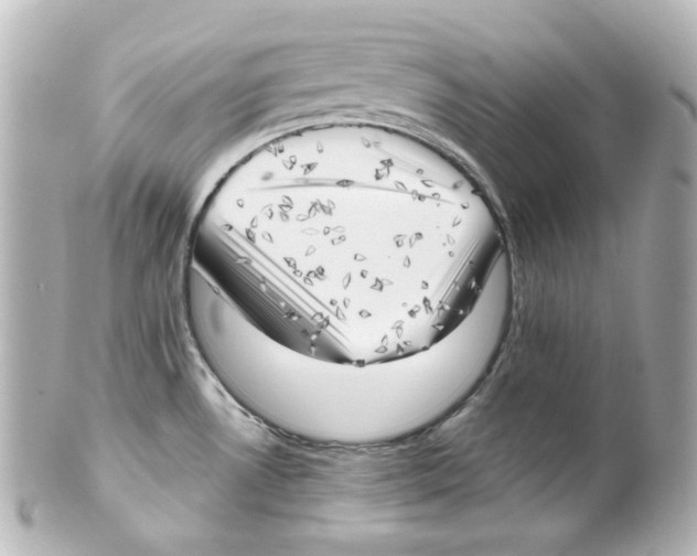 X0000101471530200808041053