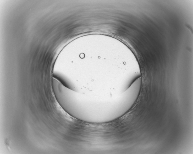 X0000101471532200808041053