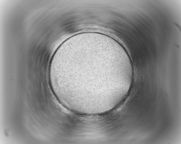 X0000101471533200808041053