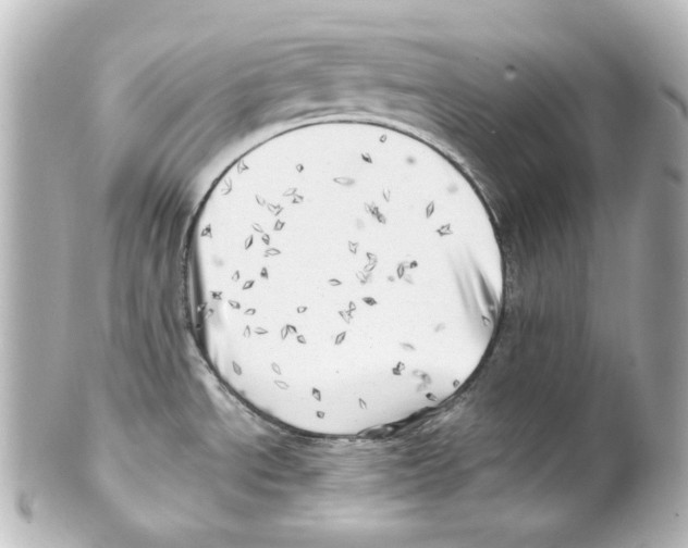 X0000101471534200808041053