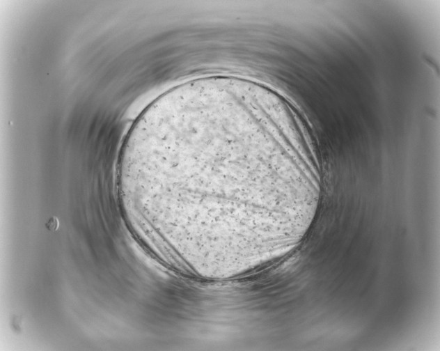 X0000101471535200808041053