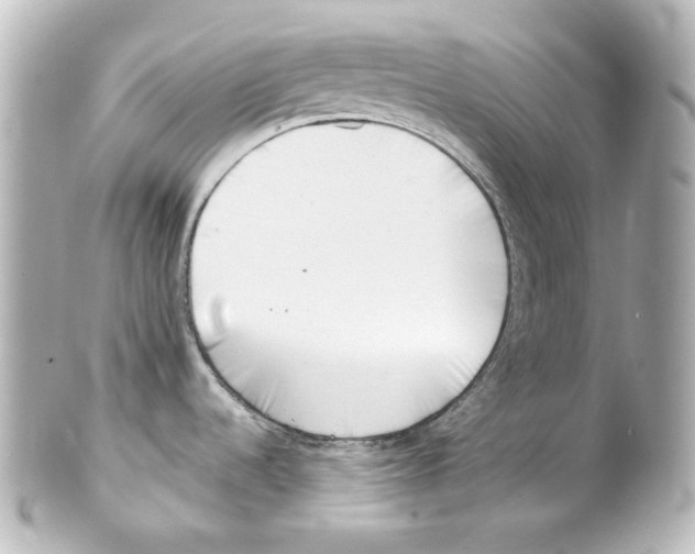 X0000101471536200808041053