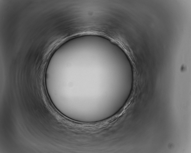 X0000101480001200807071254