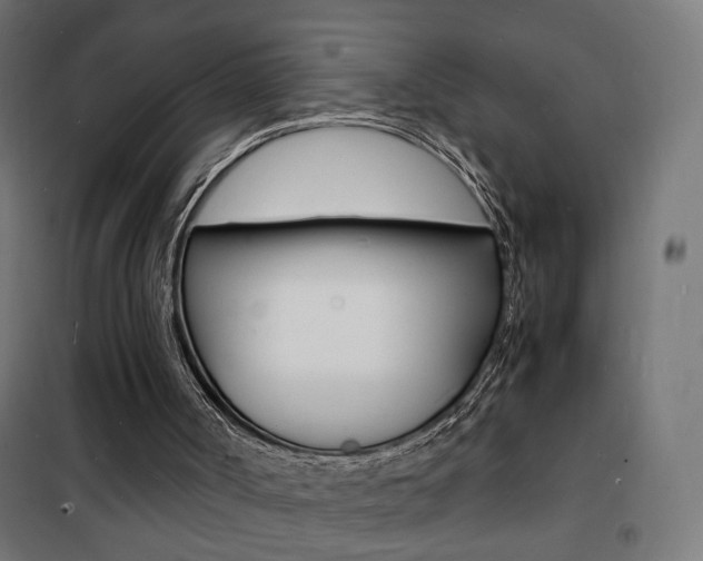 X0000101480002200807071254