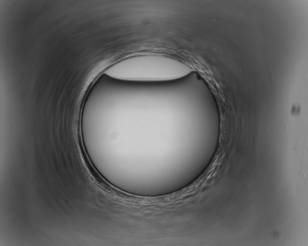 X0000101480003200807071254