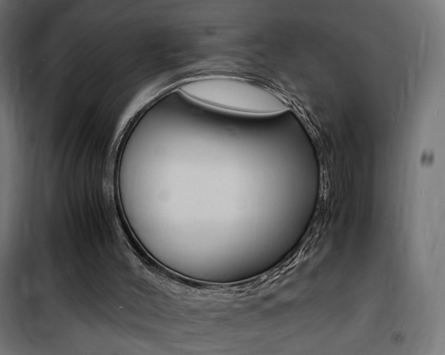 X0000101480004200807071254