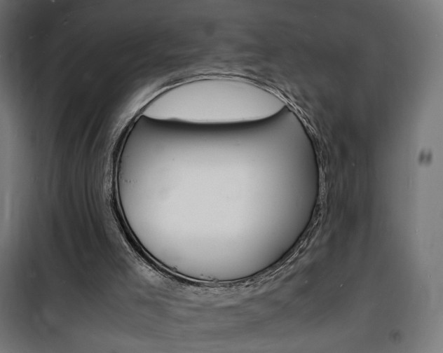 X0000101480005200807071254