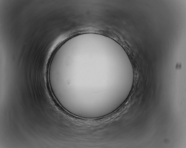 X0000101480006200807071254