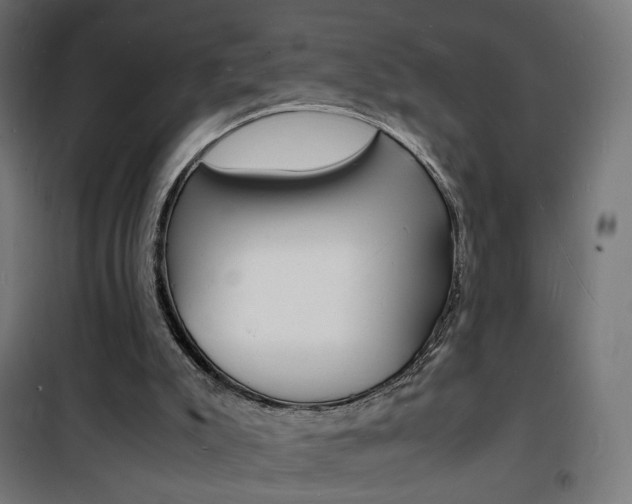 X0000101480007200807071254