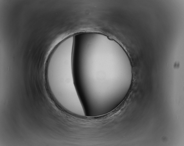 X0000101480008200807071254