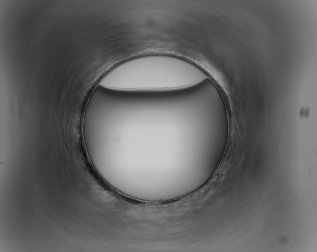 X0000101480009200807071254