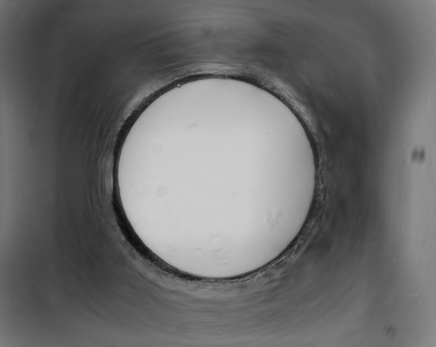 X0000101480011200807071254
