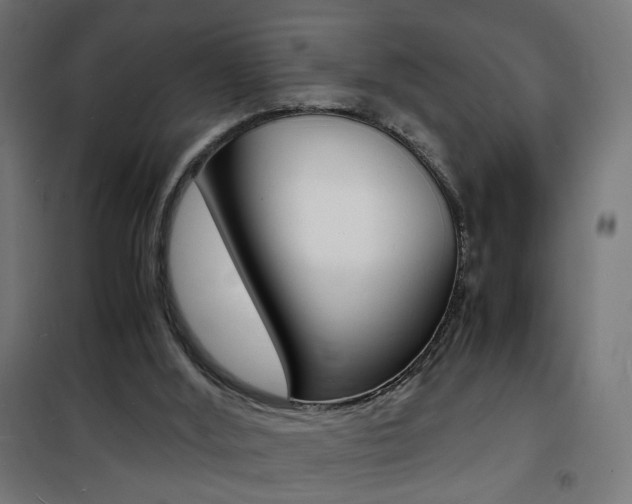 X0000101480012200807071254