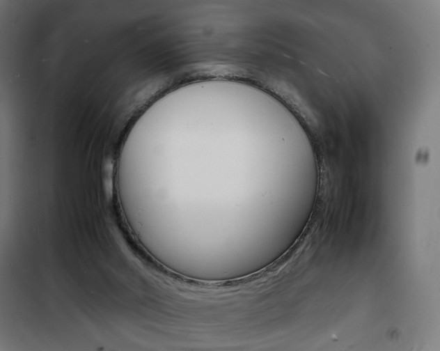 X0000101480014200807071254