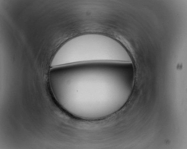 X0000101480017200807071254