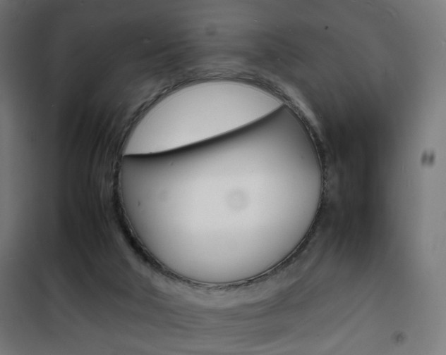 X0000101480018200807071254