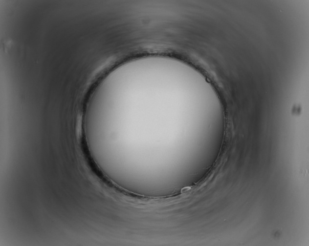 X0000101480019200807071254