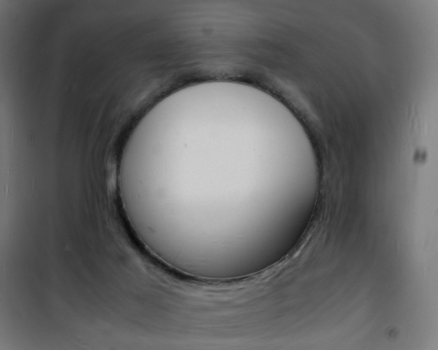 X0000101480021200807071254