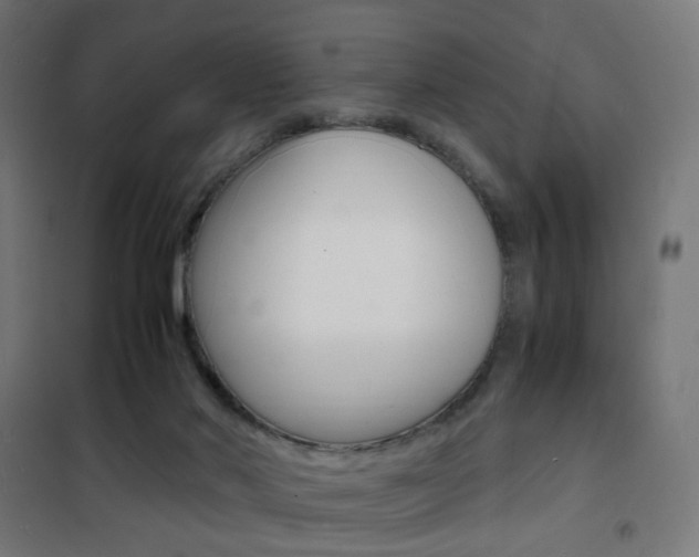 X0000101480022200807071254