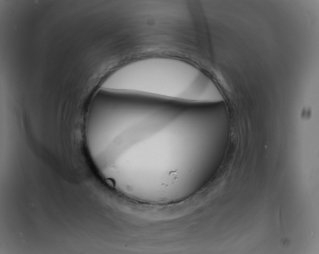 X0000101480023200807071254