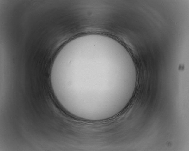 X0000101480024200807071254