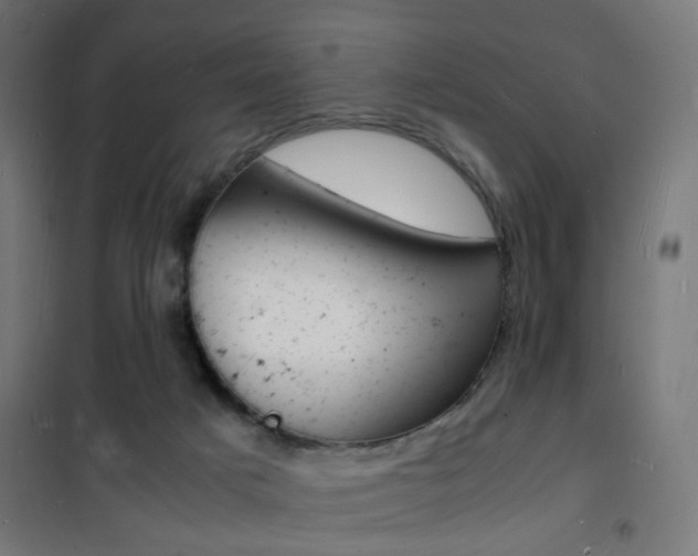 X0000101480025200807071254