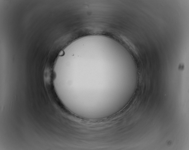 X0000101480026200807071254