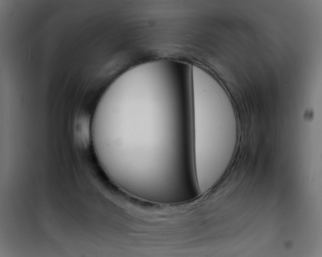 X0000101480028200807071254