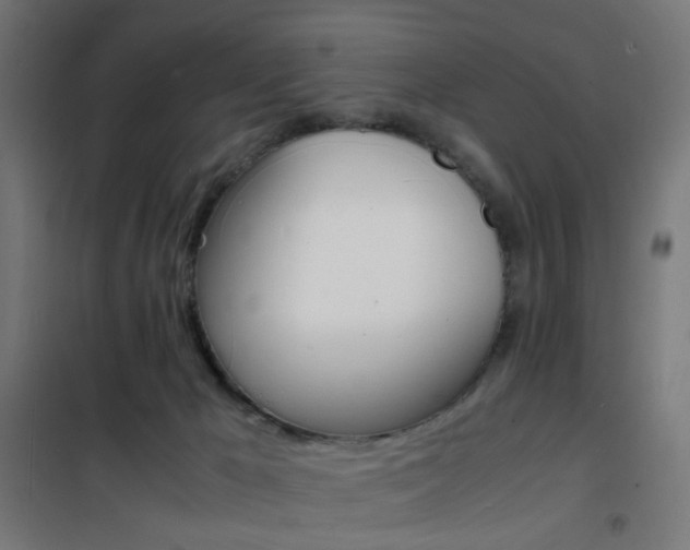 X0000101480029200807071254
