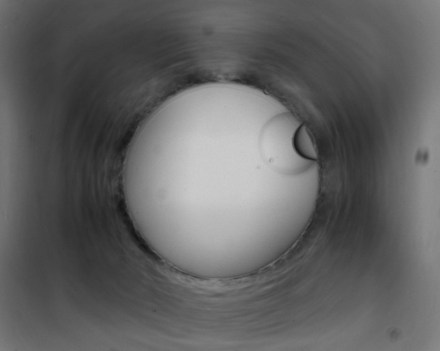 X0000101480030200807071254