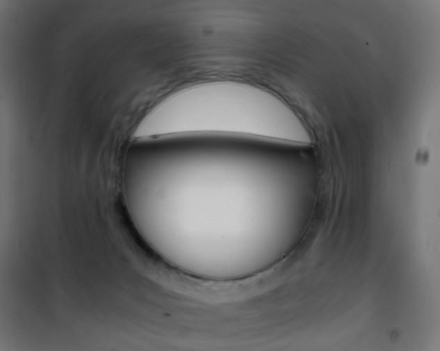 X0000101480031200807071254