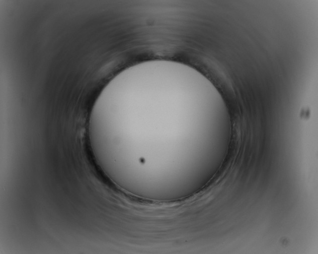 X0000101480032200807071254