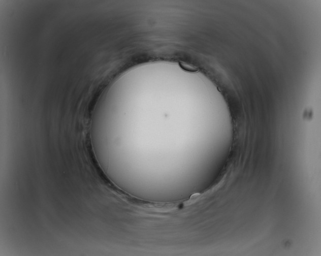 X0000101480033200807071253