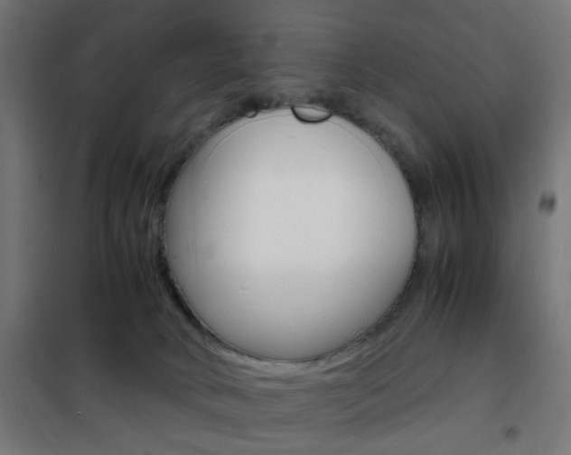 X0000101480034200807071253