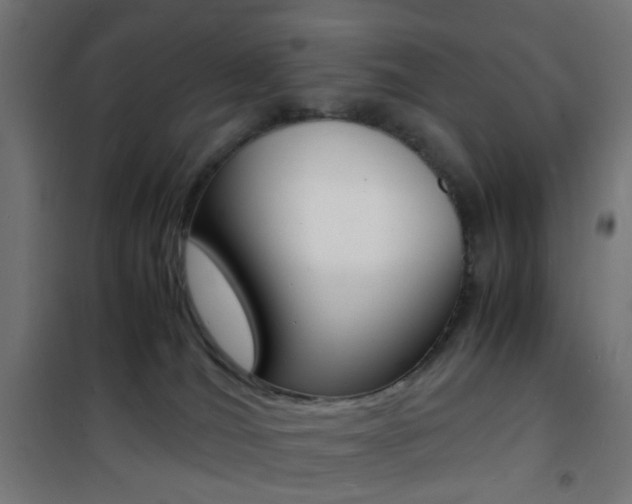 X0000101480036200807071253