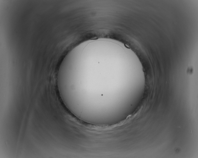 X0000101480037200807071253