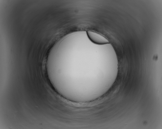 X0000101480038200807071253