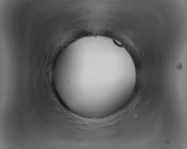 X0000101480039200807071253