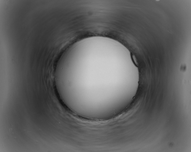 X0000101480040200807071253