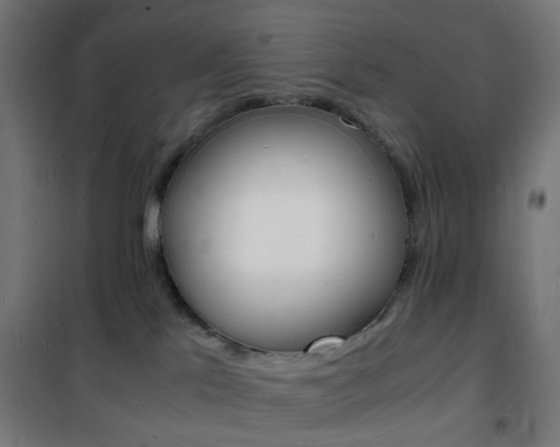 X0000101480041200807071253