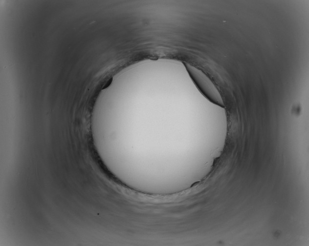 X0000101480043200807071253