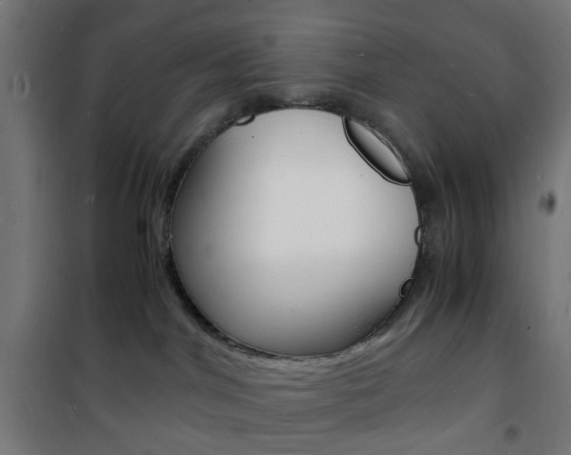 X0000101480044200807071253